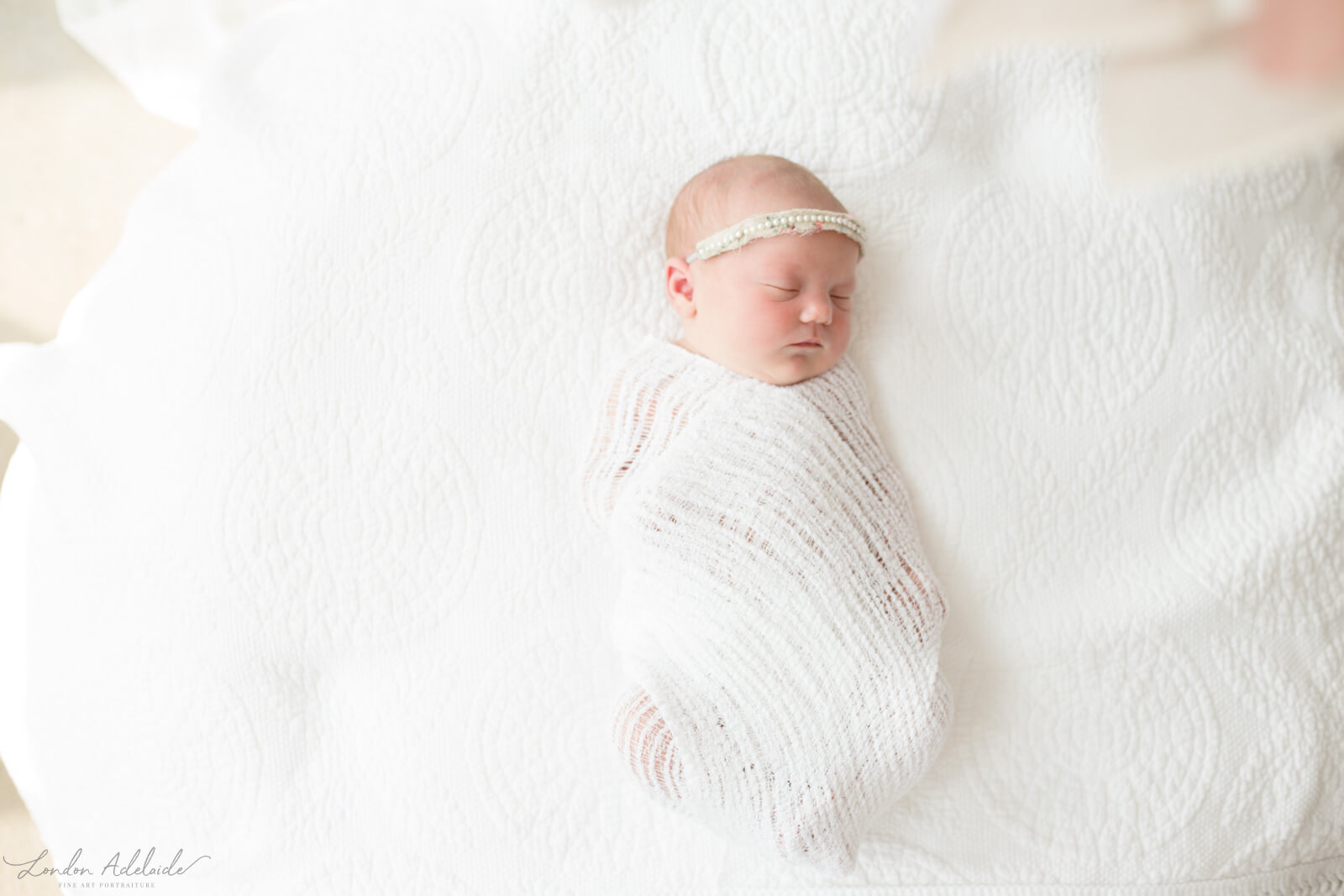 Magnolia - Maternity + Newborn10